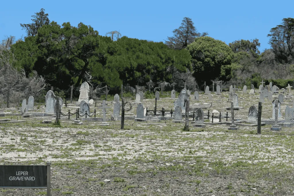 Graveyard on Robben Island where many leprosy patients were buried in unmarked graves. A silent legacy of isolation and resilience.