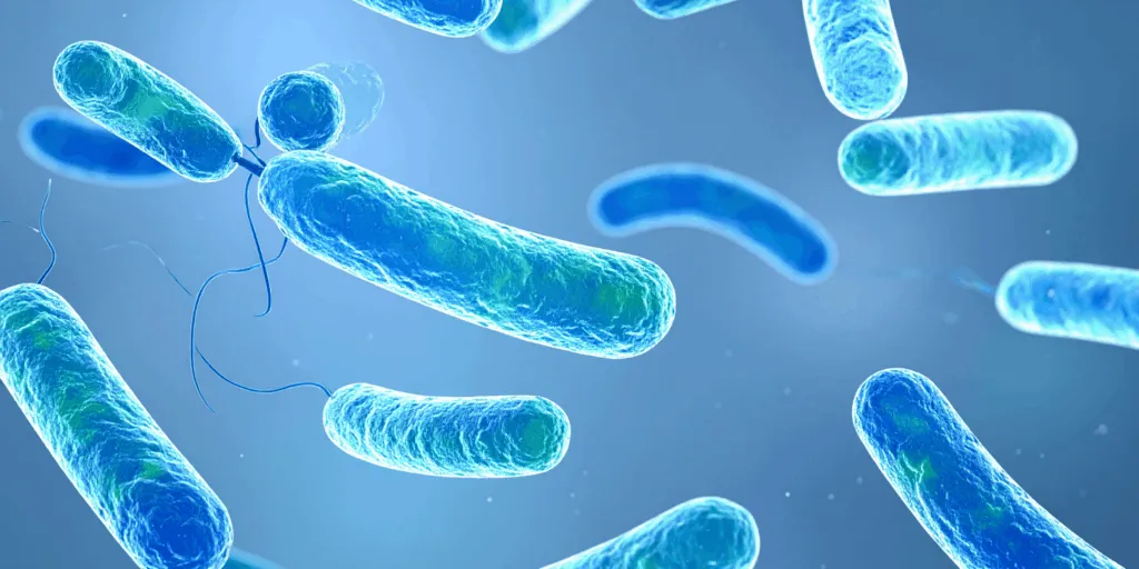 Illustration of Mycobacterium leprae bacteria, which cause leprosy.