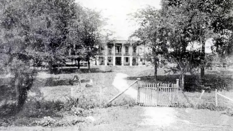 Historic image of Indian Camp Plantation, later the Carville leprosy colony